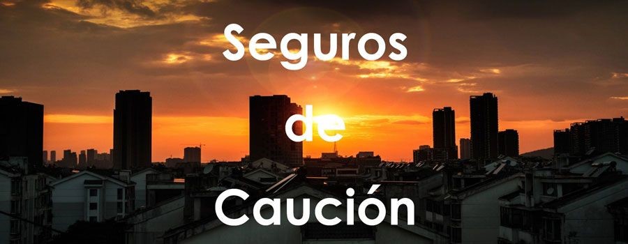 EL SEGURO DE CAUCIÓN NACE EN MÉXICO